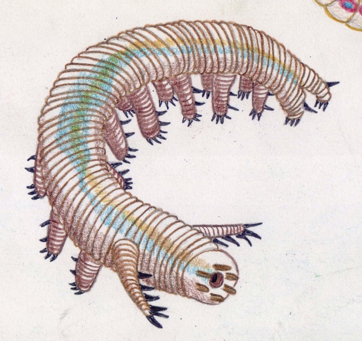 Реконструкция Айшеайи.