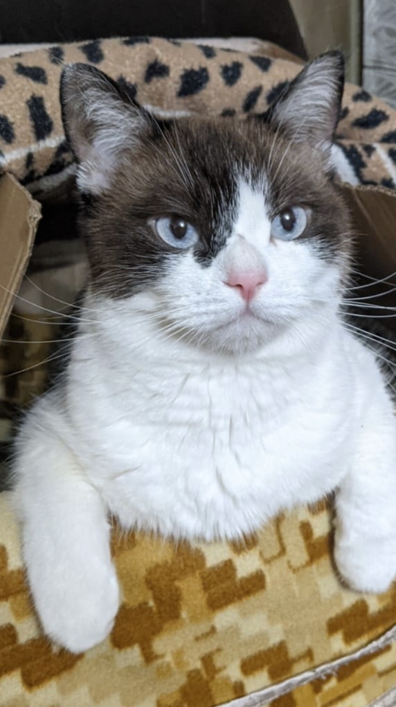 Установка на доброооо.....