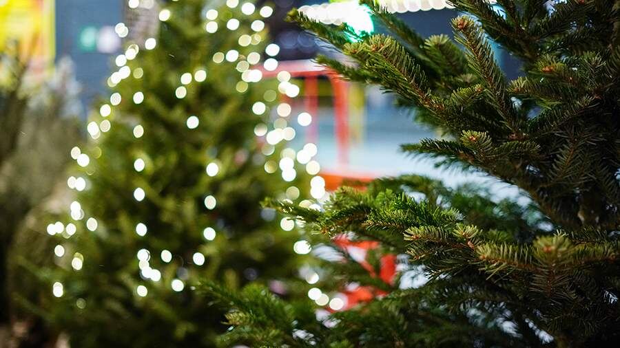    Фото: ИЗВЕСТИЯ/Сергей Лантюхов