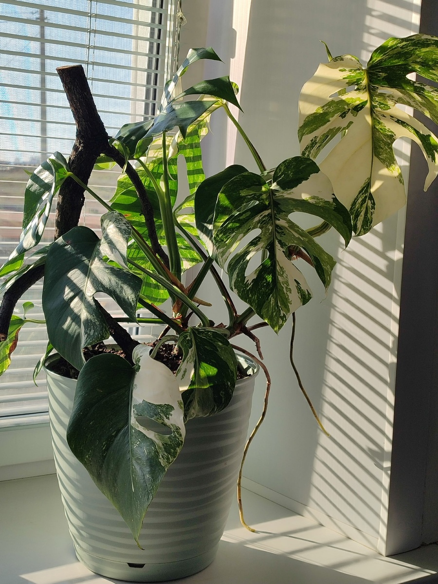 Фото сделано в октябре