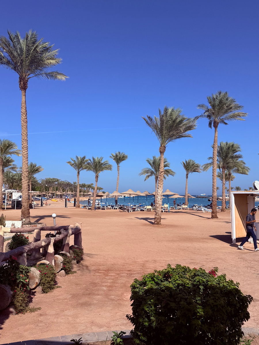 Фото сделал в отеле Mirage Bay в Хургаде когда отдыхал там в середине ноября 2025го. Кстати данный отель рекомендую!