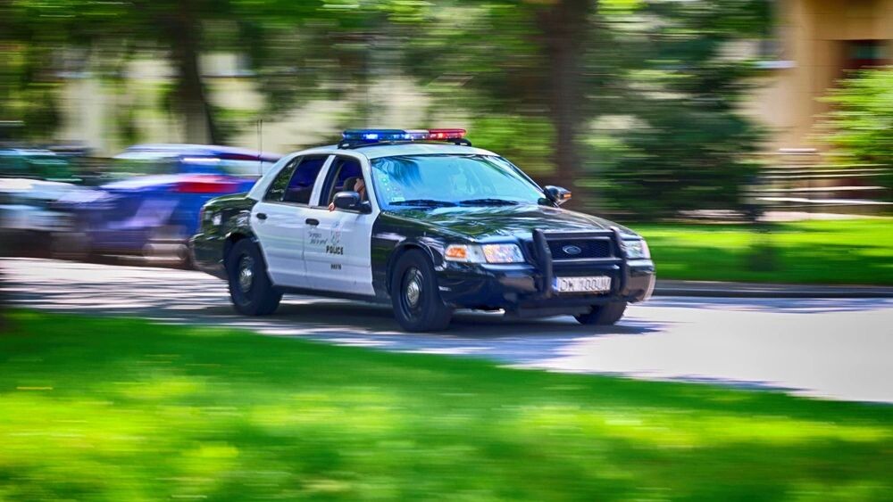    Фото: FotoDax/Shutterstock/Fotodom