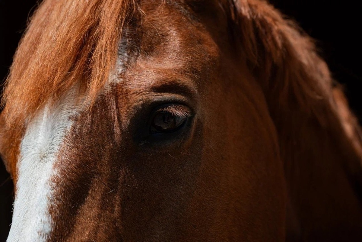 Тематическое фото
Фото: ИА AmurMedia