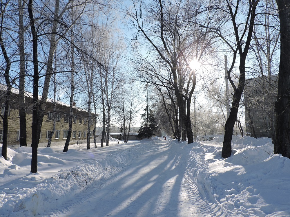    Ожидается морозная погода. Фото Анны Зубаревой