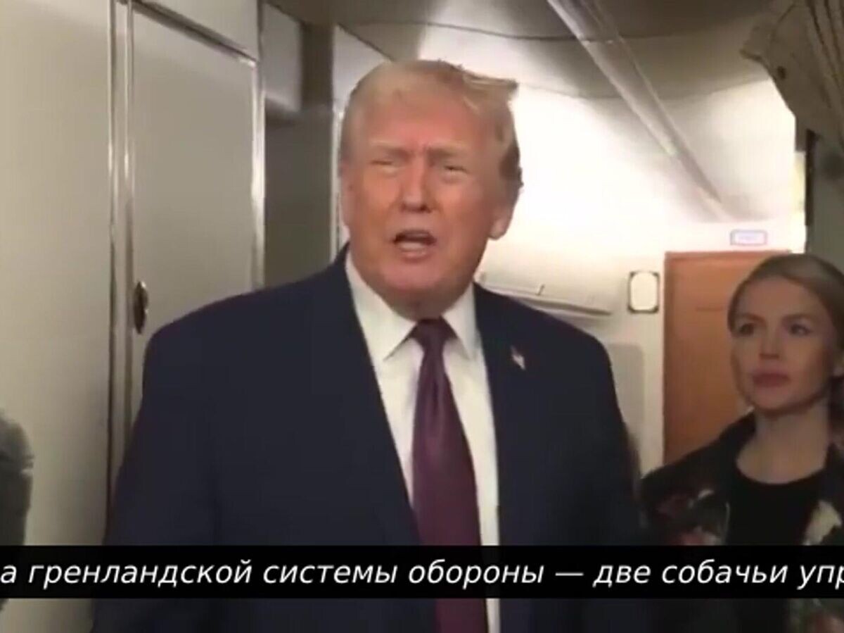   Трамп: "Две собачьи упряжки – вся оборона Гренландии" | © пул
