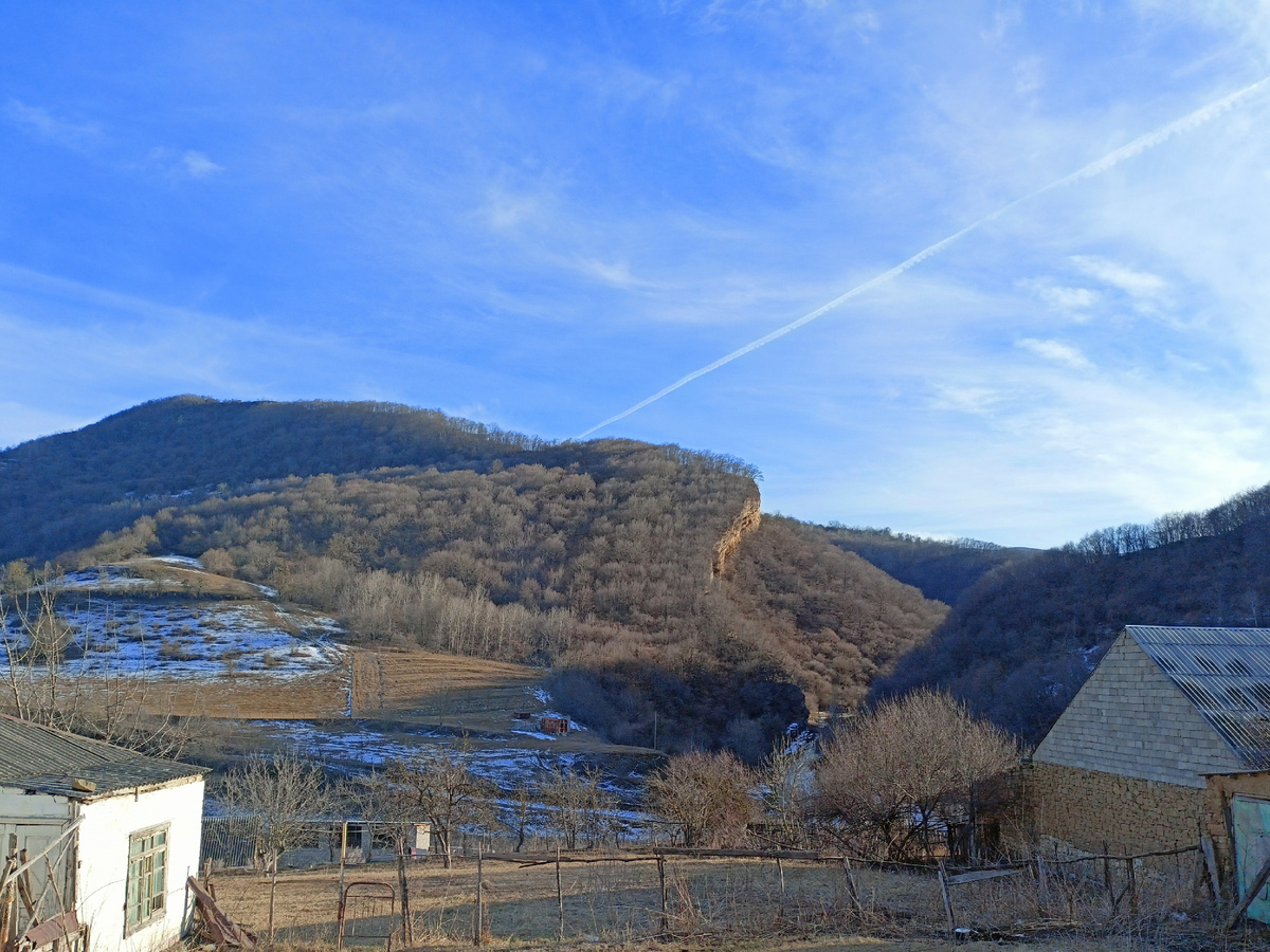 Фото автора: вид на горы с лесом из Арыхкента (Дагестан, январь 2024)