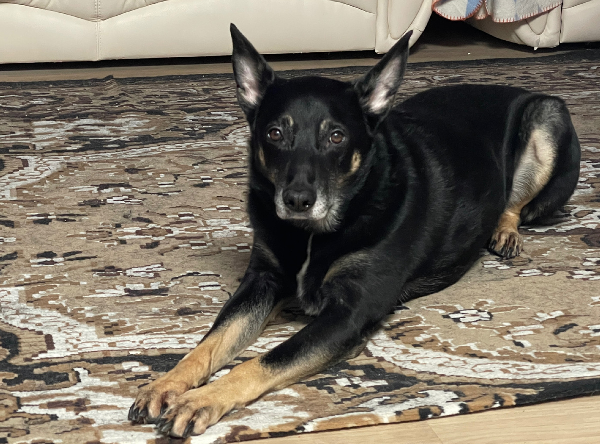 Вот только попробуйте написать, что вам этого списка мало... 😑