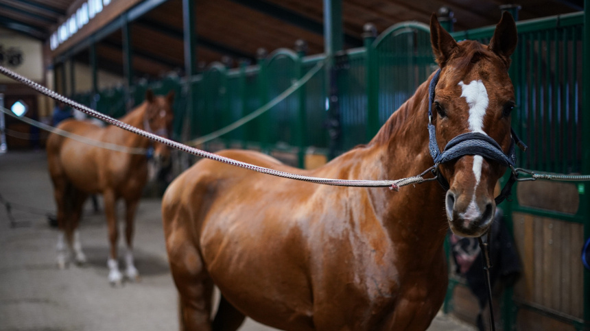    Фото: ИЗВЕСТИЯ/Сергей Лантюхов; 5-tv.ru