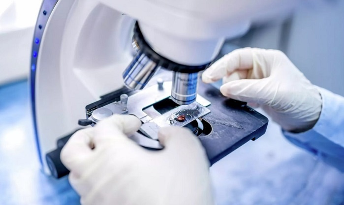    Фото ТГ-канала "Россия - это я" Редактор