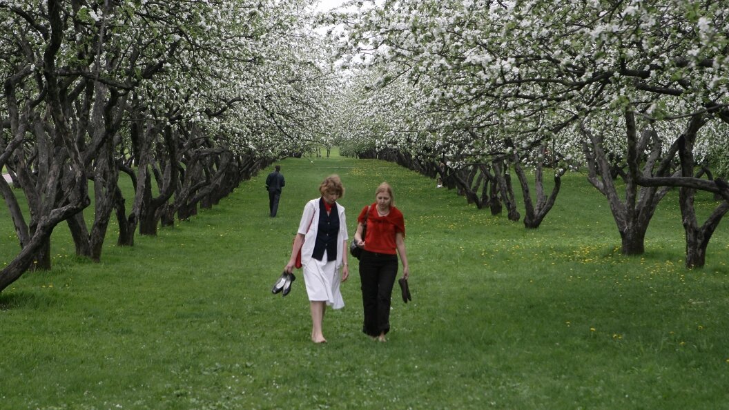    Фото: Олег Рукавицын. Царьград