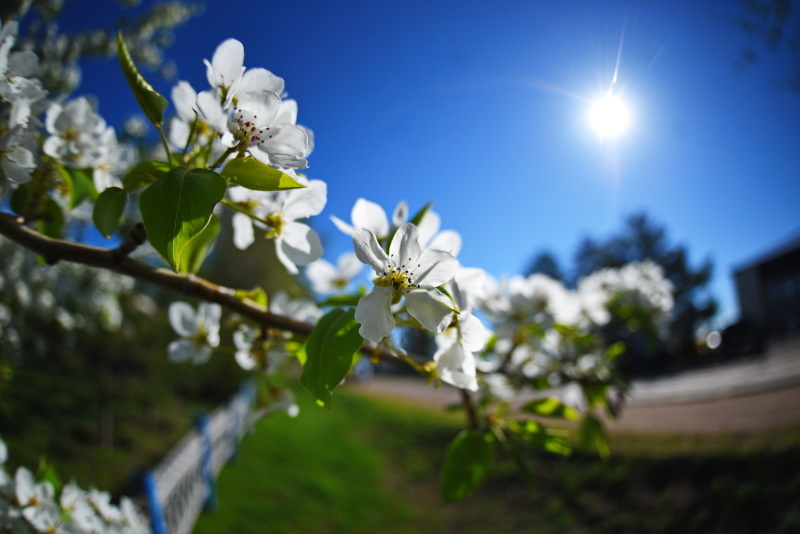    Фото: Олег Рукавицын. Царьград