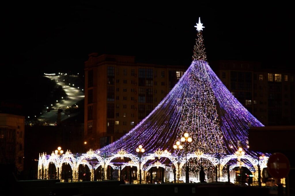 Южно-Сахалинск. Самая высокая елка ДФО