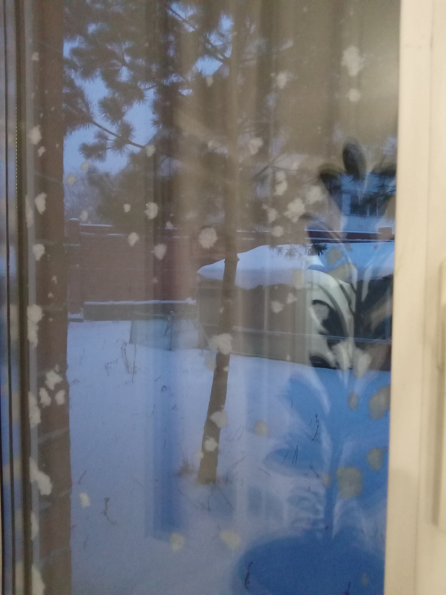 Зимнее окно. Фото автора