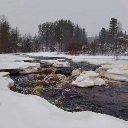    Государственный комитет Карелии по ОЖ и БН