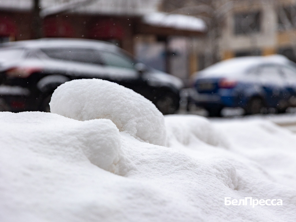     Фото: Алексей Дацковский (архив)