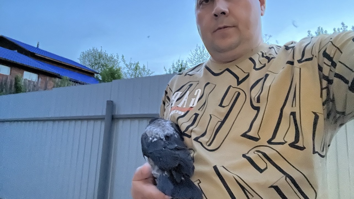 Тот самый птенец, ради которого его мама решилась на отчаянный шаг 