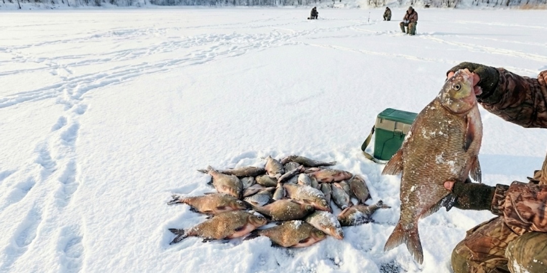 Прикормка на леща: рецепт и тактика для глухозимья. 3 правила зимнего прикорма