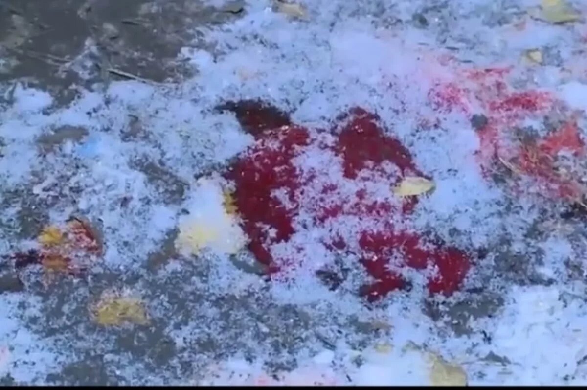    СК опубликовал архивные видео с места убийства омского застройщика Берга