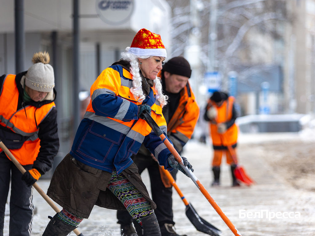     Фото: Алексей Дацковский