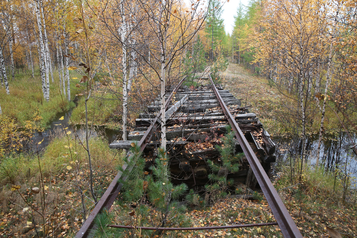 Участок трассы Салехард-Игарка в районе разъезда Долгий, на реке Таз, в 2015 году. Фото Вячеслава Калинина