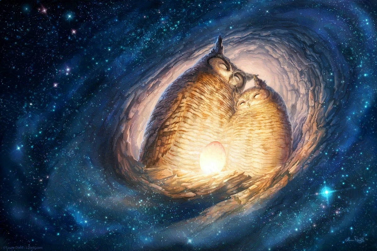 "Galaxy nest"/"������������� ������"
���� "�������" �������� ����������� : vk.com�album-20637220_306073788