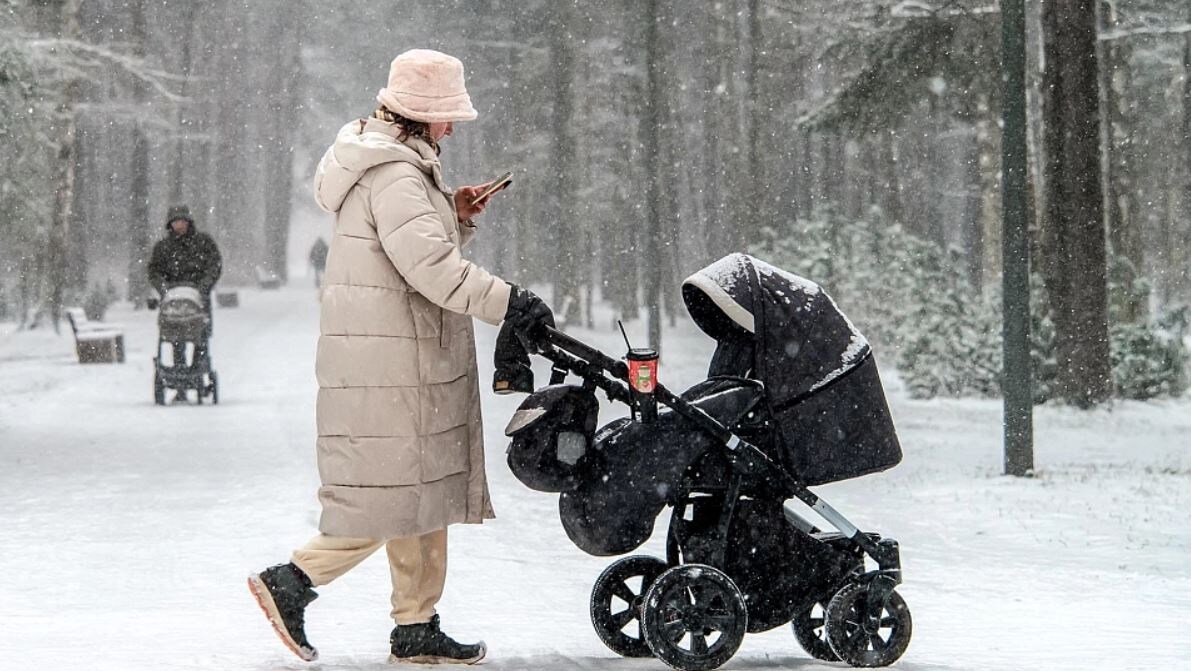 Алексей Даничев/РИА Новости