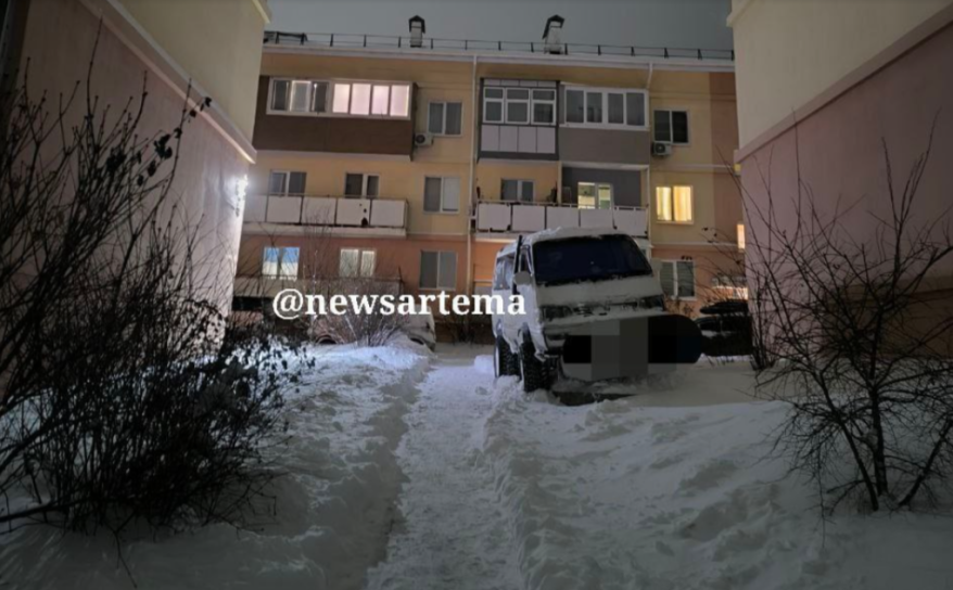    Источник фото: "Новости Артема + Приморье"