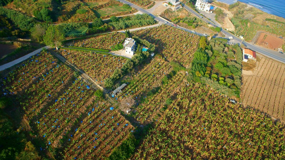    Фото: globallookpress.com/Boris Rezvantsev