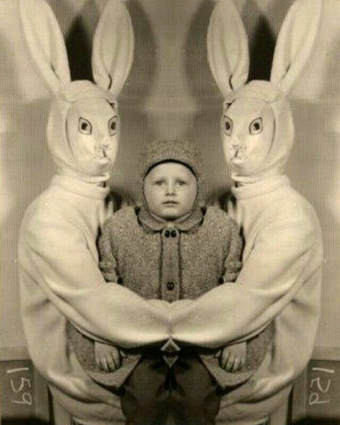 Источник: happy.weird.day