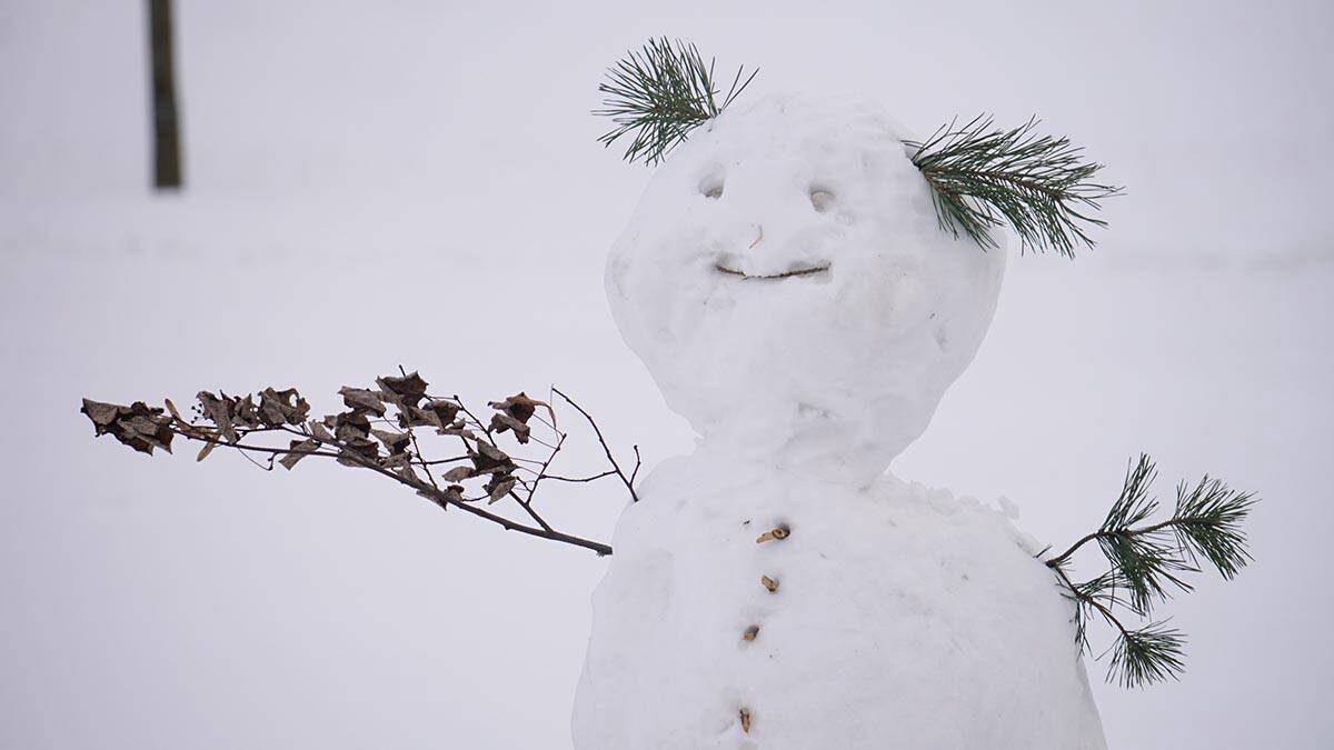   Фото: Анатолий Цымбалюк / Вечерняя Москва