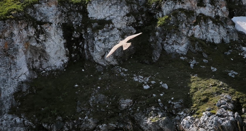    Фото Минприроды РК