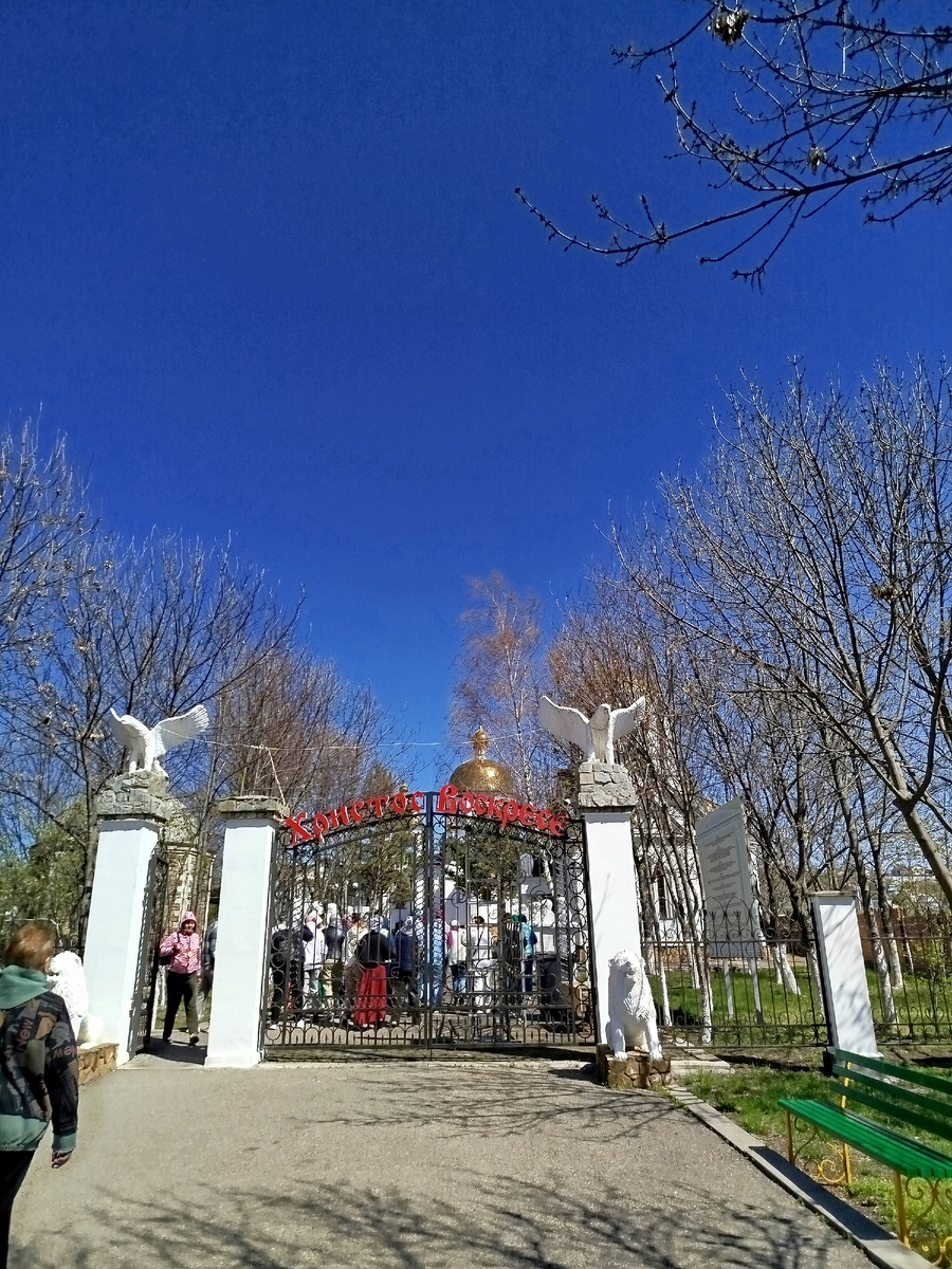 Фото автора.