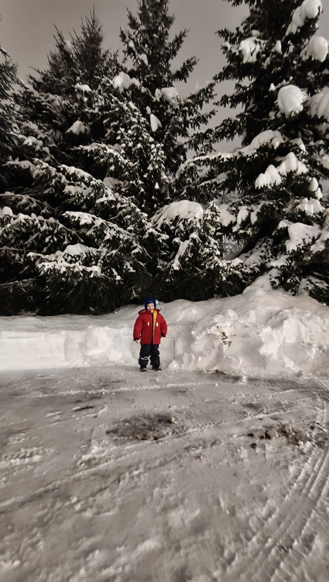 Женя и елки