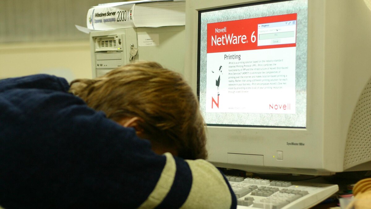    Фото: globallookpress.com/Vasilii Smirnov