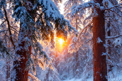    Фото: freepik. com