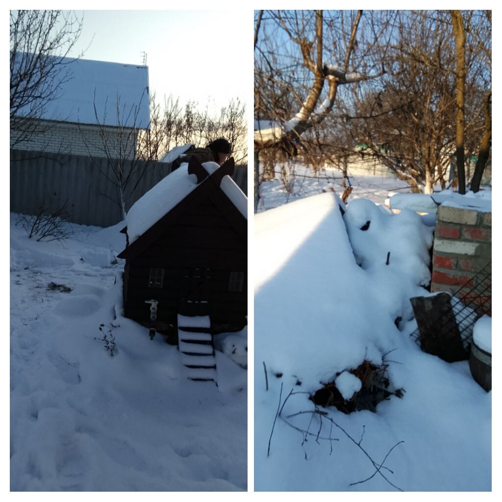 Личное фото.