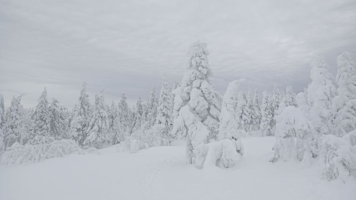 Кто найдет тут тропу 😁