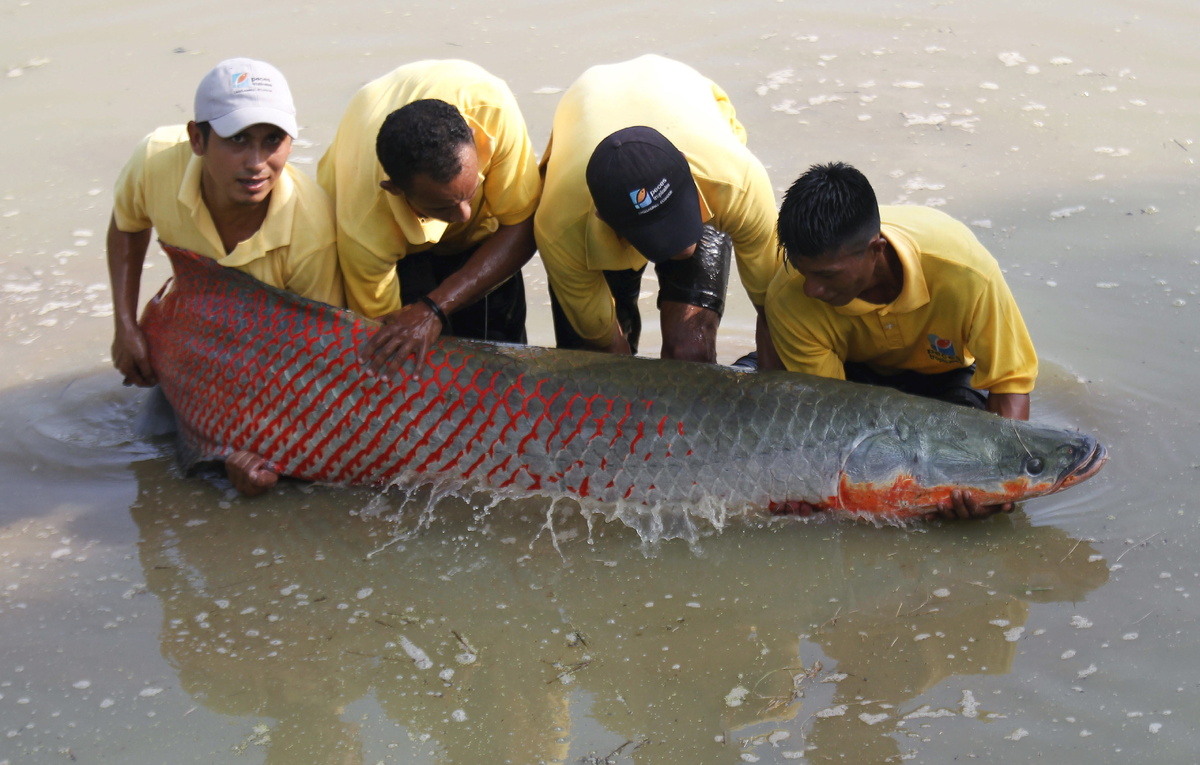 REUTERS/Guillermo Granja, архив