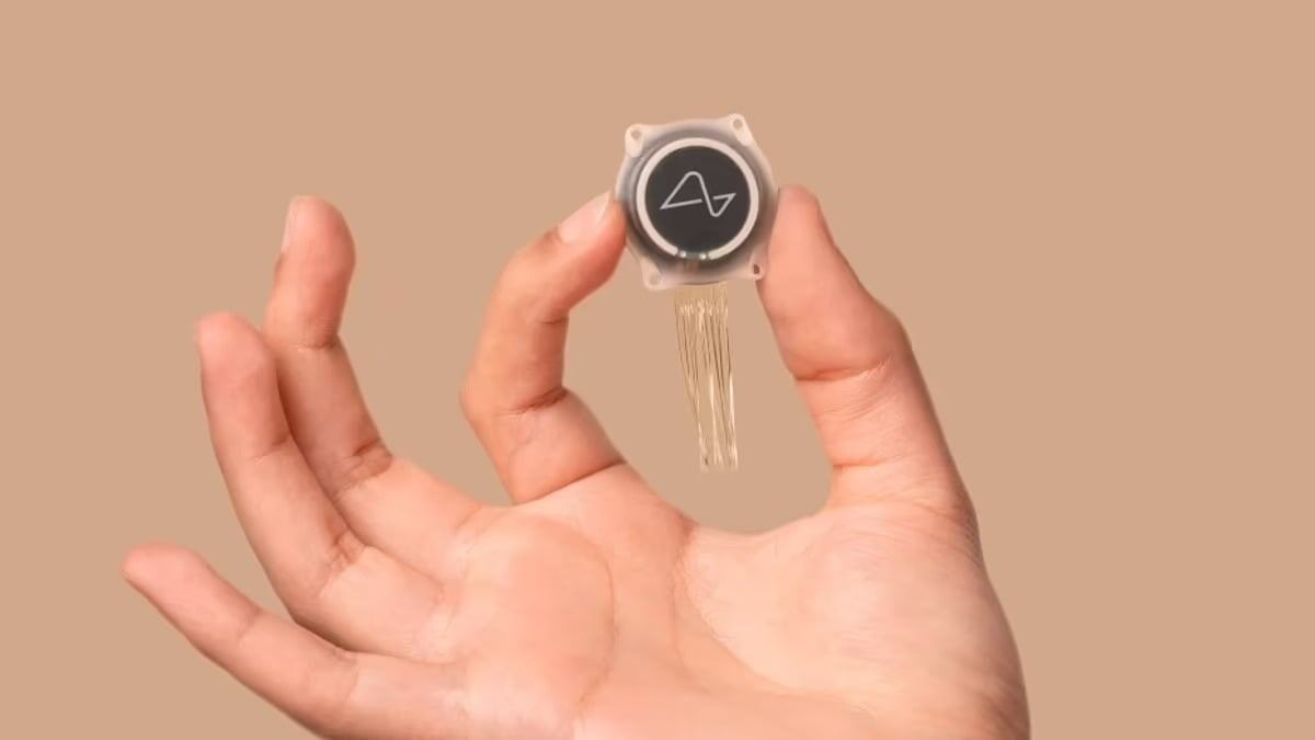 Собственно, так выглядит сам чип, вживляемый в головного мог