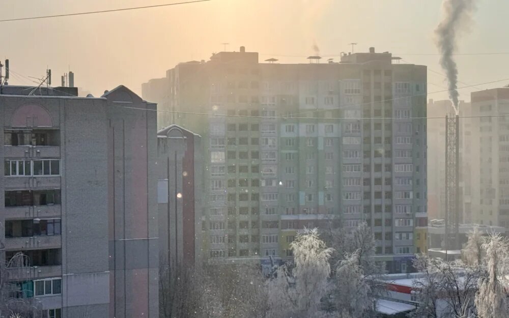    Фото: "Брянские новости"