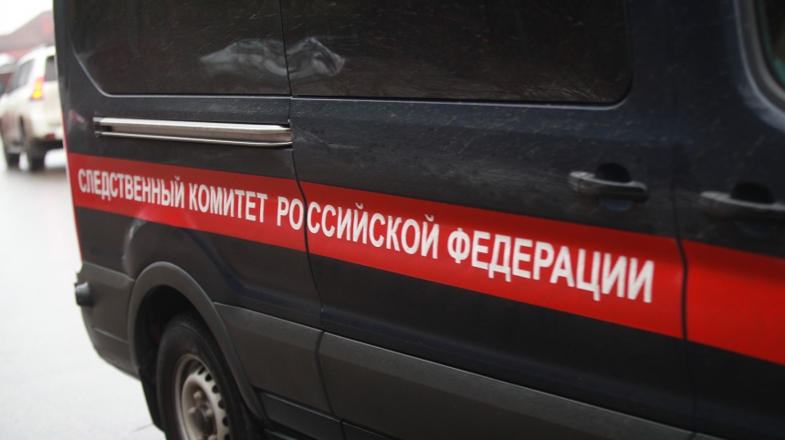    Фото: ИЗВЕСТИЯ/Зураб Джавахадзе