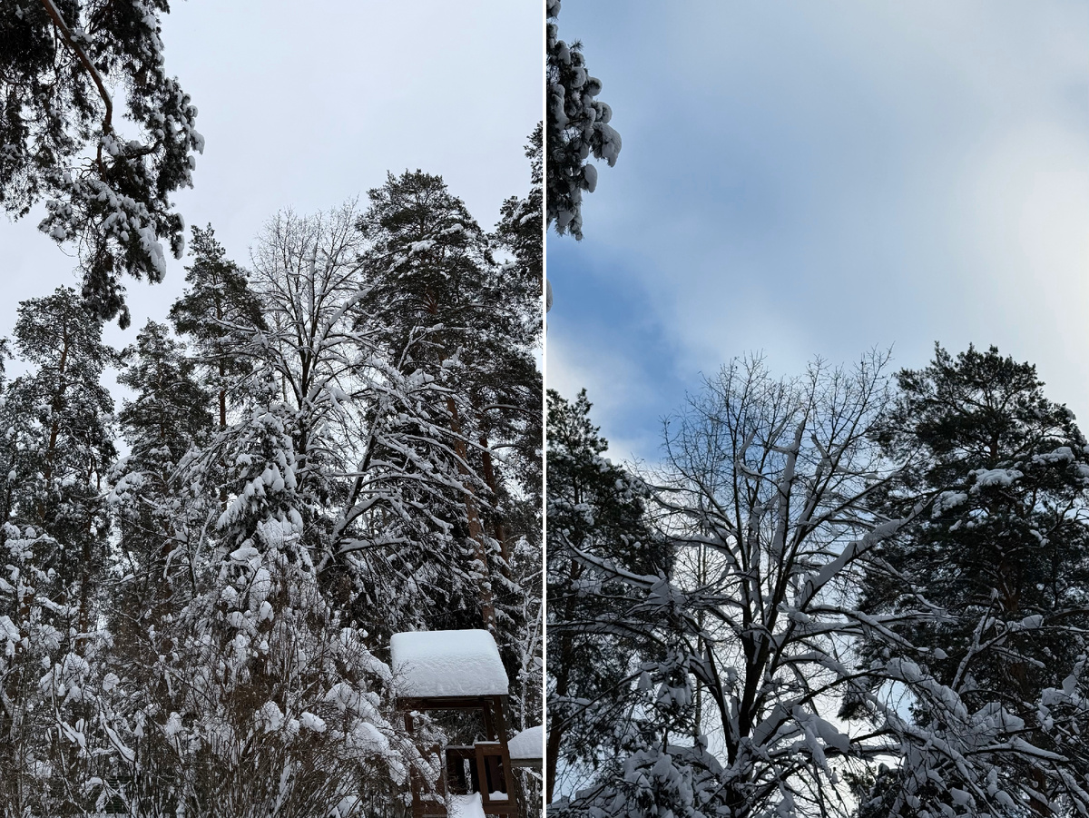 Фото автора канала.