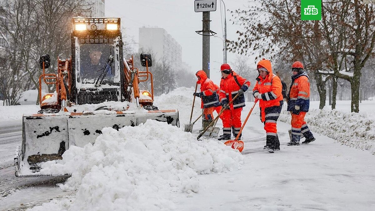    Фото: Максим Денисов / mos.ru