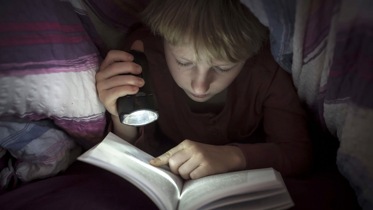 Изображение взято с просторов Интернета