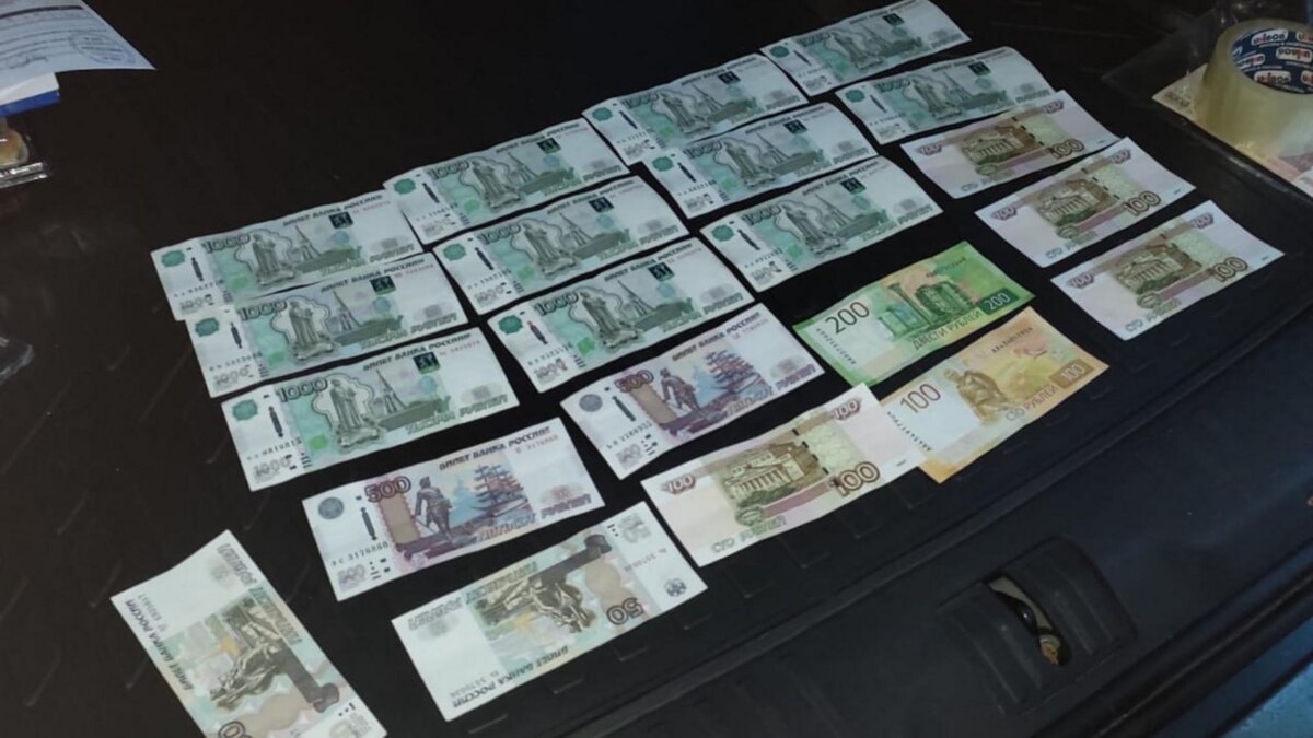  Фото: пресс-служба ГУ МВД России по Петербургу и Ленобласти