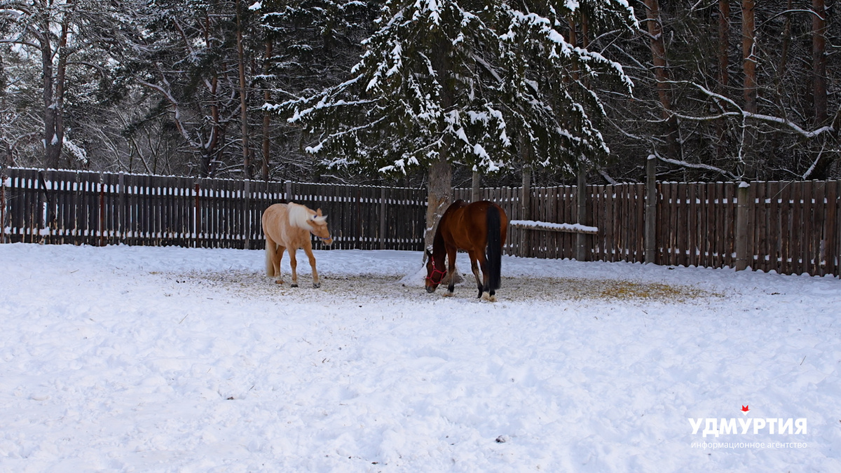 Фото: Данил Кузнецов