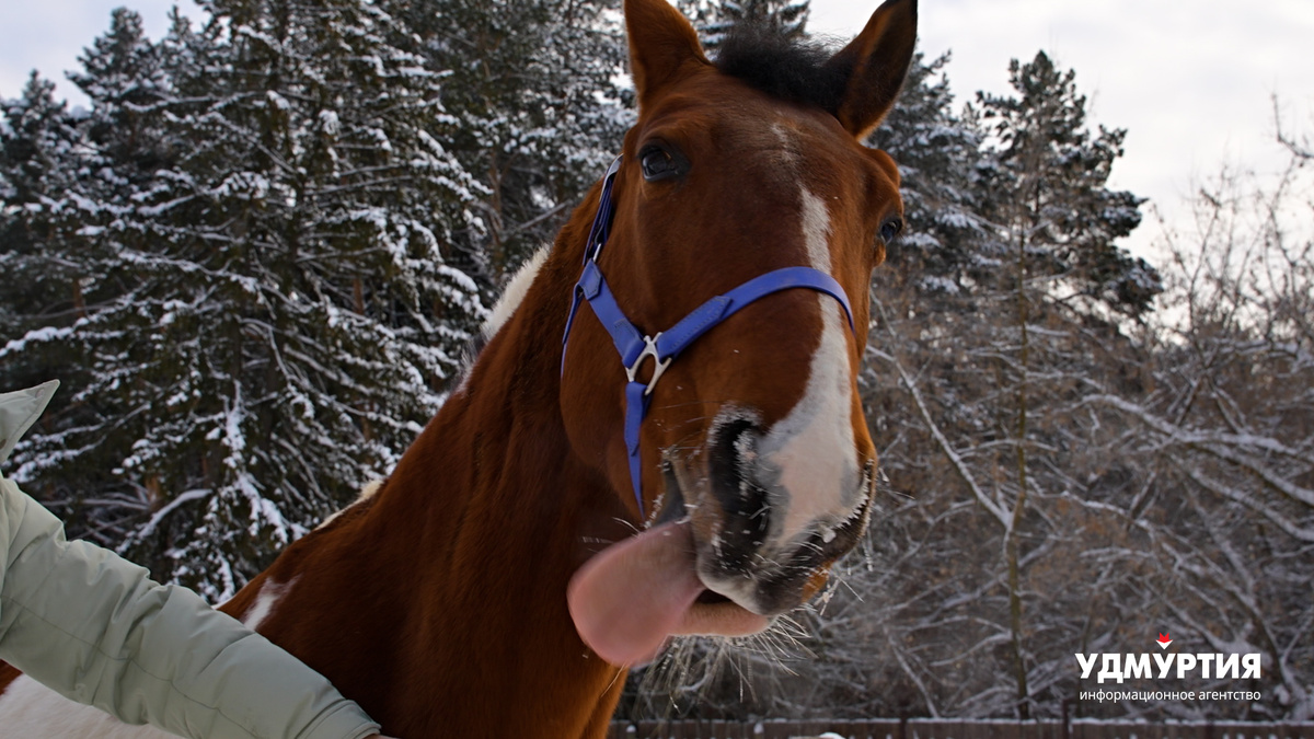 Фото: Данил Кузнецов