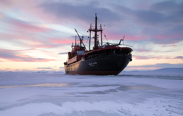 Вера Костамо/ТАСС