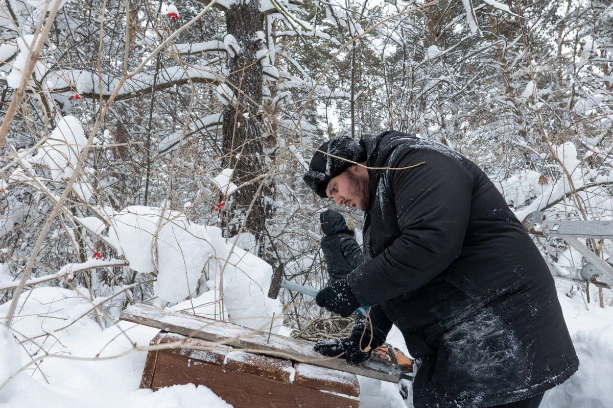 Листайте вправо, чтобы увидеть больше изображений