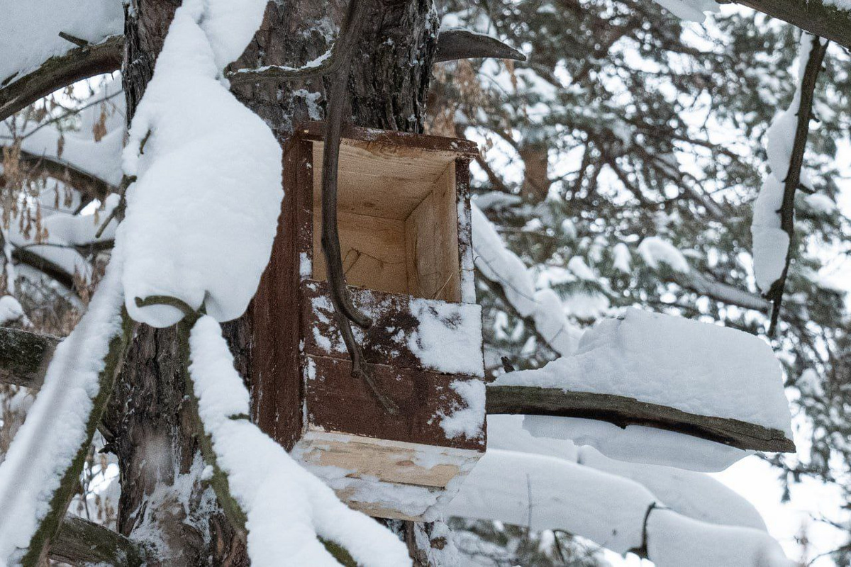 Листайте вправо, чтобы увидеть больше изображений